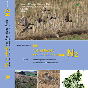 Jetzt erhältlich ‒ Ornithologischer Jahresbericht 2020 für Rheinland-Pfalz