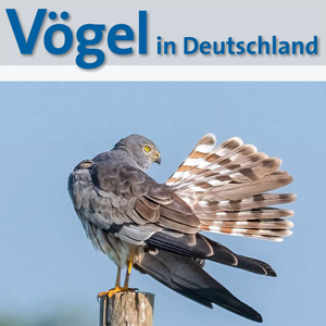 Neues Heft „Vögel in Deutschland: Bestandssituation 2025“ erschienen